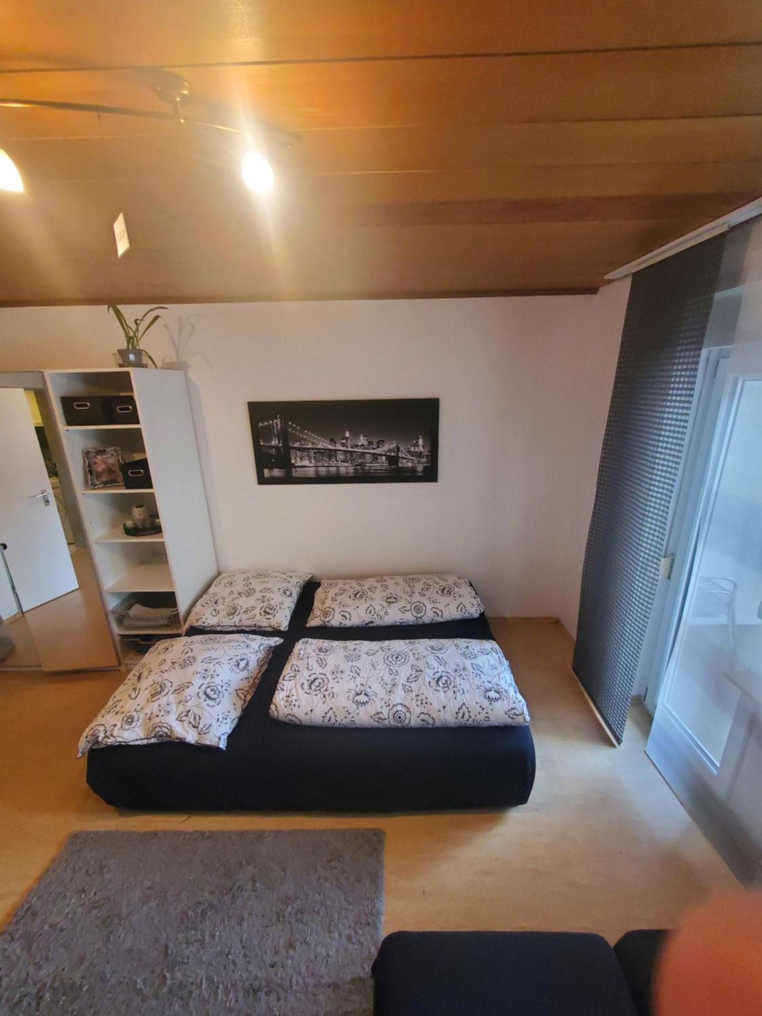 Einzimmerwohnungmit Grossem Balkon Mietersheim Bagian luar foto